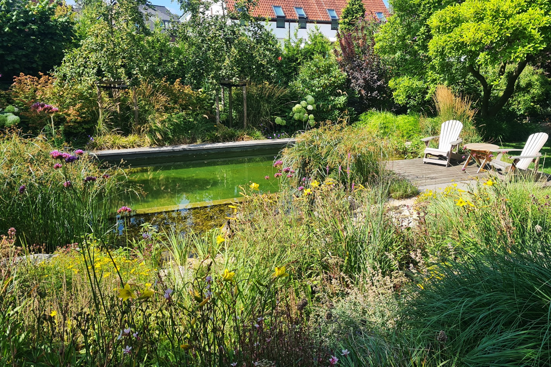 Schwimmteich Naturoase Gartenbau Neuss, Grevenbroich, Düsseldorf. Gartendesign, Bio, Natur, Dachbegrünung, Vorgarten, Gartendesign, Pflaster, Begrünung, Pflanzen, Natur, nbs Gartenträume, Gartenarchitektur